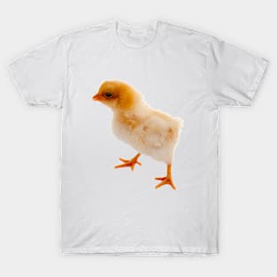 Cute Chick T-Shirt